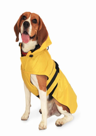 Dog Raincoat
